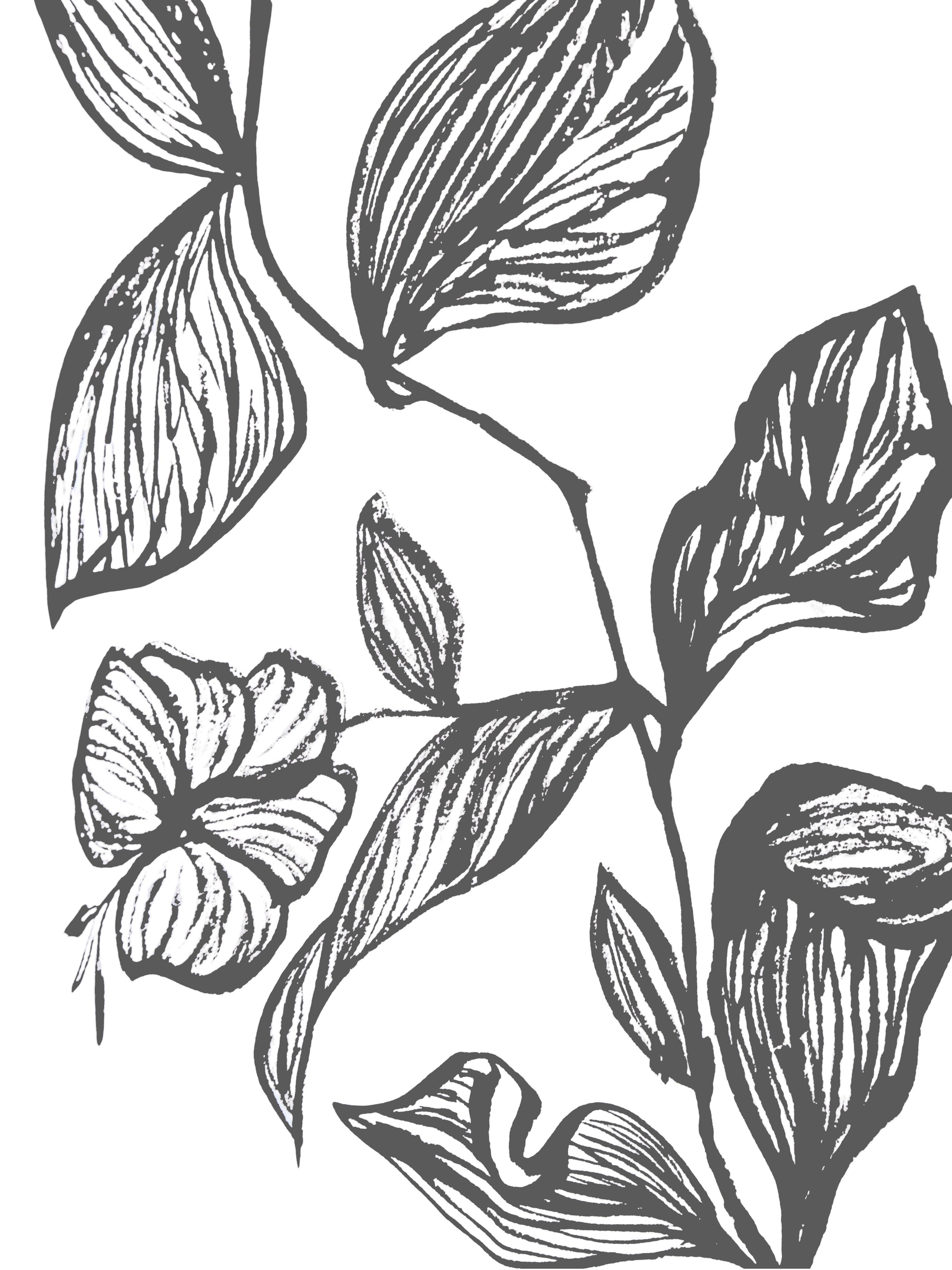 Botanical