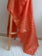Manak Painted Tussar Dupatta