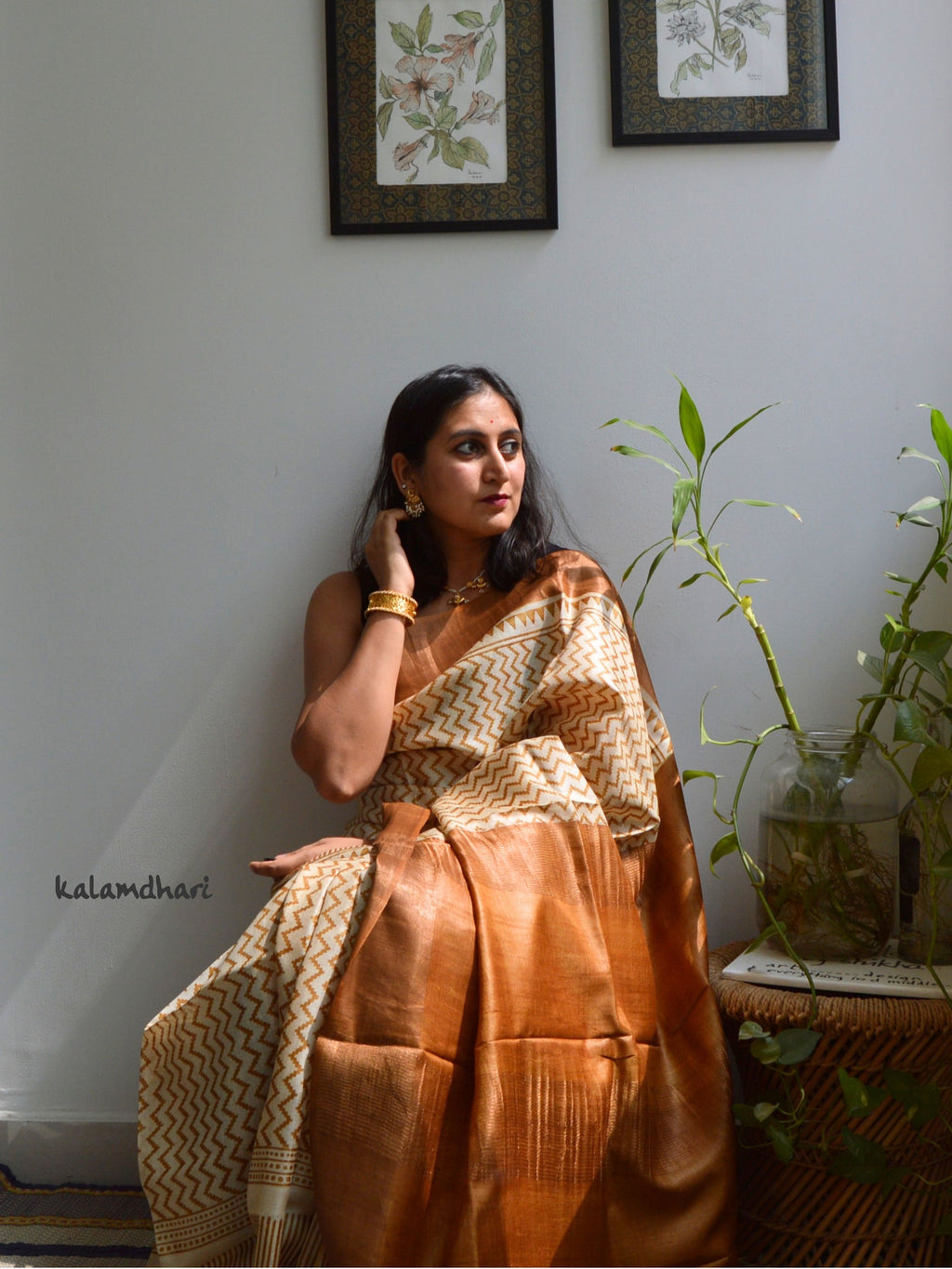 Chevron Kosa Saree