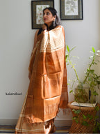 Chevron Kosa Saree